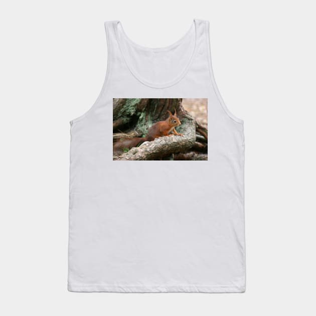 Red Squirrel, May 2019 Tank Top by RedHillDigital